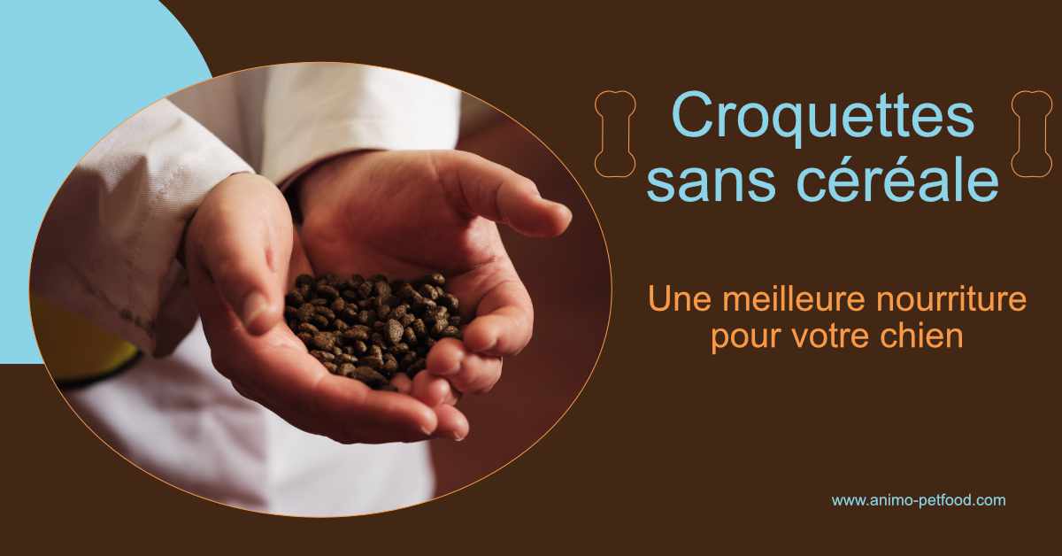 croquettes-sans-cereales-une-meilleure-nourriture-pour-votre-chien